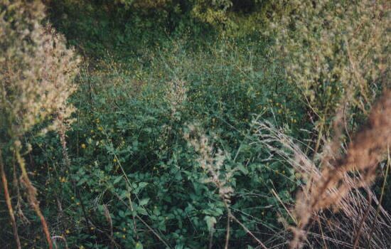 �R�Z���_�j��