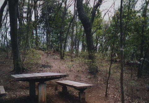 �g�g���̐X�Q���n