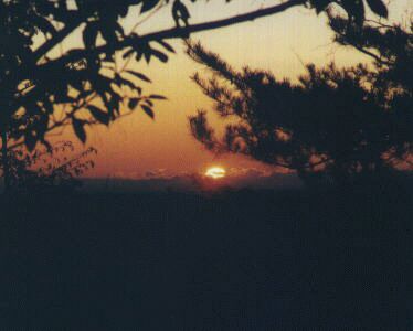 �V����̌䗈��