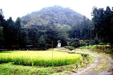 ��m��̒J�Óc