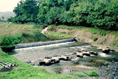 �����̔_�Ɨp����