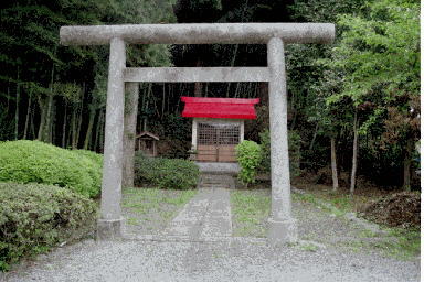 ��m����_��