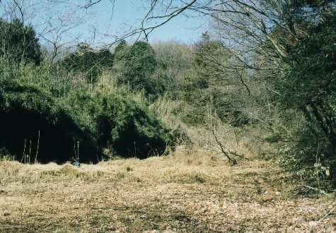 �Ђ����J��