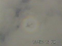 ���ցiGlory�j�P