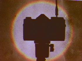 �ʐ^�P�@�����