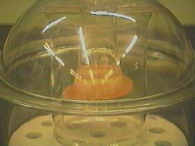 �������̉����痬�ꗎ����