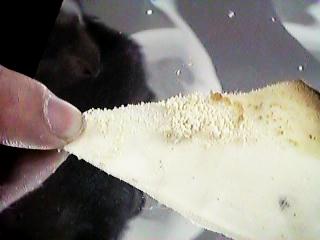 �n�s�n�r�`�m�V